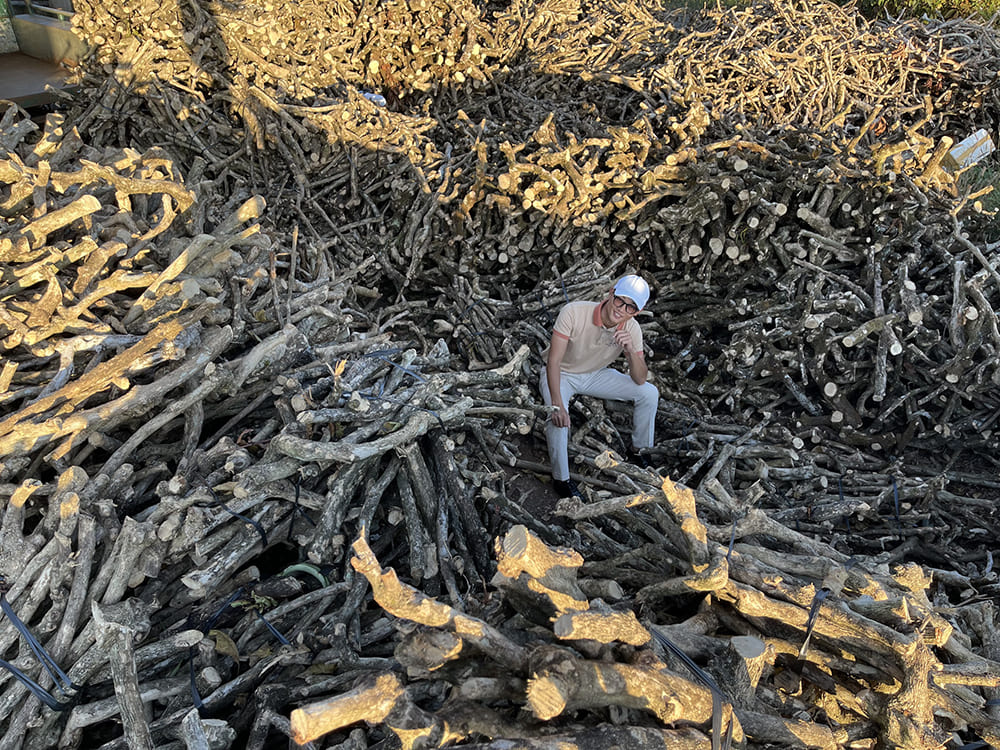 커피나무 도그츄 커피우드스틱 강아지 장난감