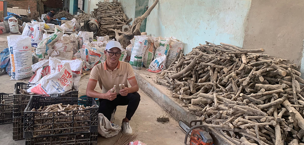 개를위한-커피-나무-씹는-스틱 - -도매-천연-개-장난감-스틱 - -B2B