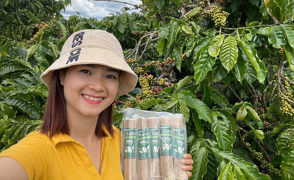 커피 나무로 만든 개 씹는 스틱 장난감