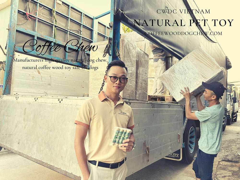 개를 위한 안전한 도매 가격 100% 천연 커피 나무 씹는 장난감