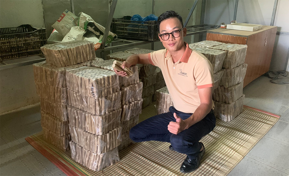 커피 나무 장난감 커피 장난감 강아지 씹기 커피 씹기 제품 강아지