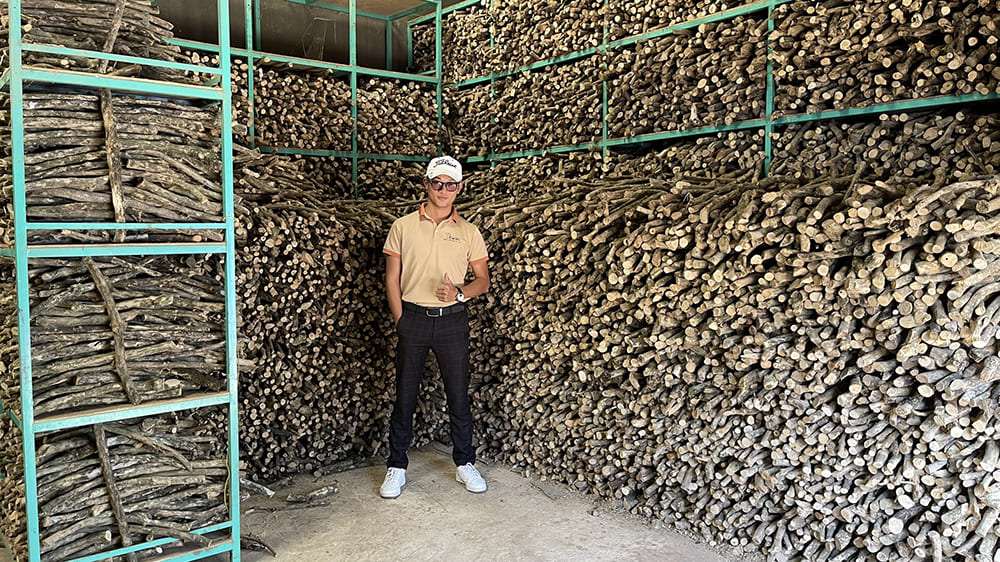 커피 나무로 만든 원래 개 씹는 스틱 장난감