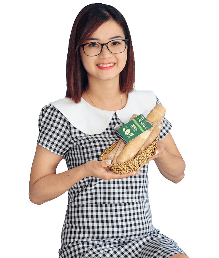 도그우드스틱_커피츄_강아지커피나무_도그우드츄_커피우드스틱