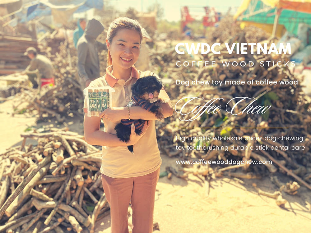 도매 가격 애완 동물 용품 개 치과 치료를위한 친환경 오래 지속되는 천연 커피 나무 장난감