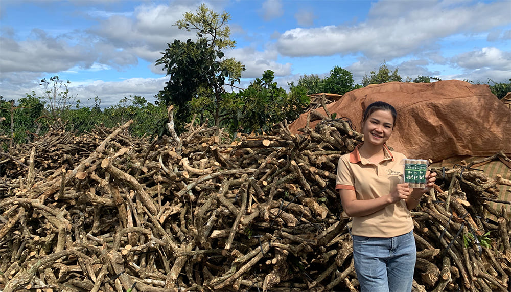 베트남에서 만든 고품질 경쟁 가격 커피 나무 씹는 개 장난감