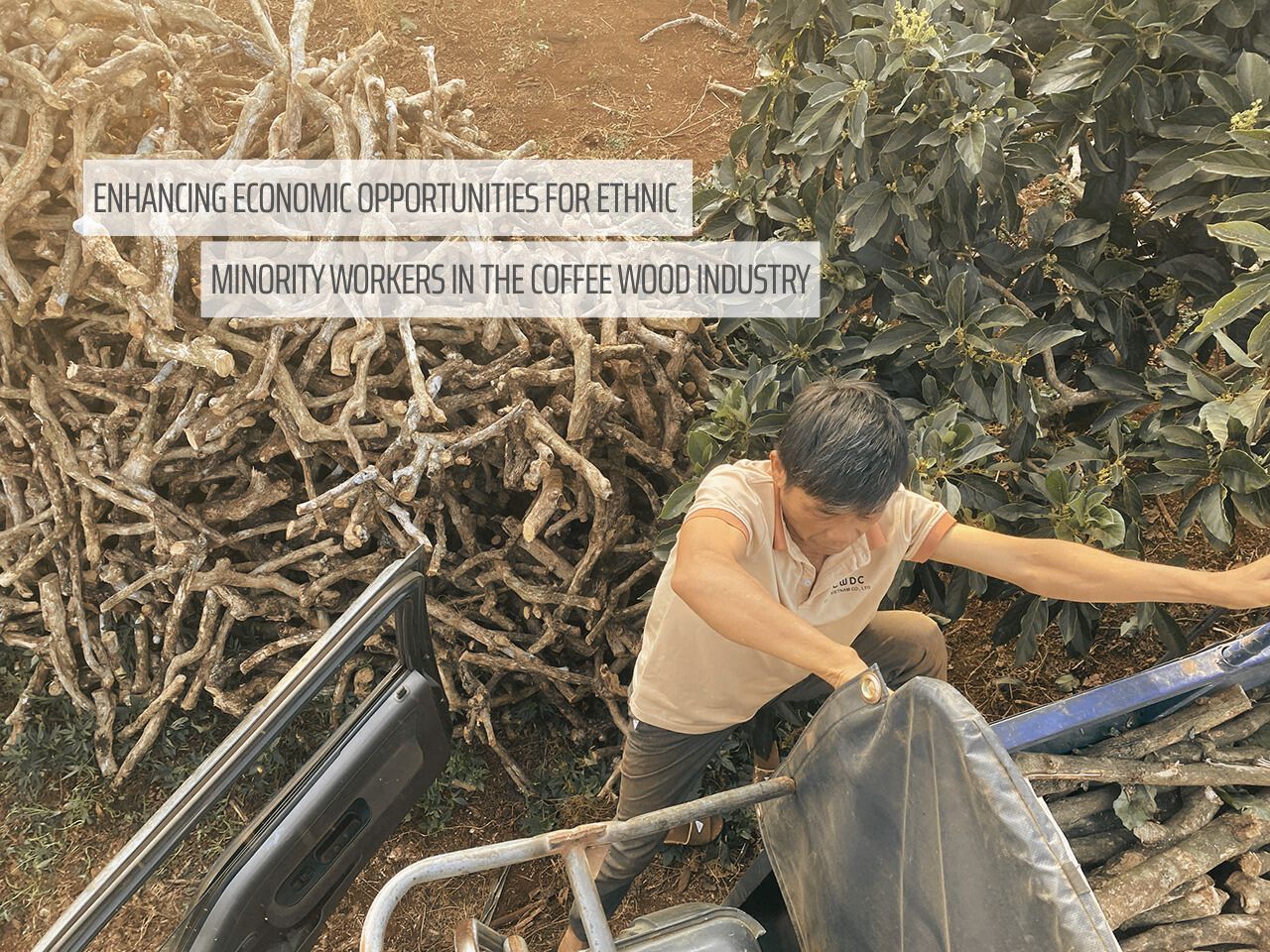 CWDC - 커피 나무 장난감 – 베트남 중부 고지대 농부 노동력의 장점