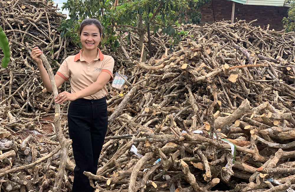 커피-나무-씹는-장난감-산업에서-원자재의-중요성