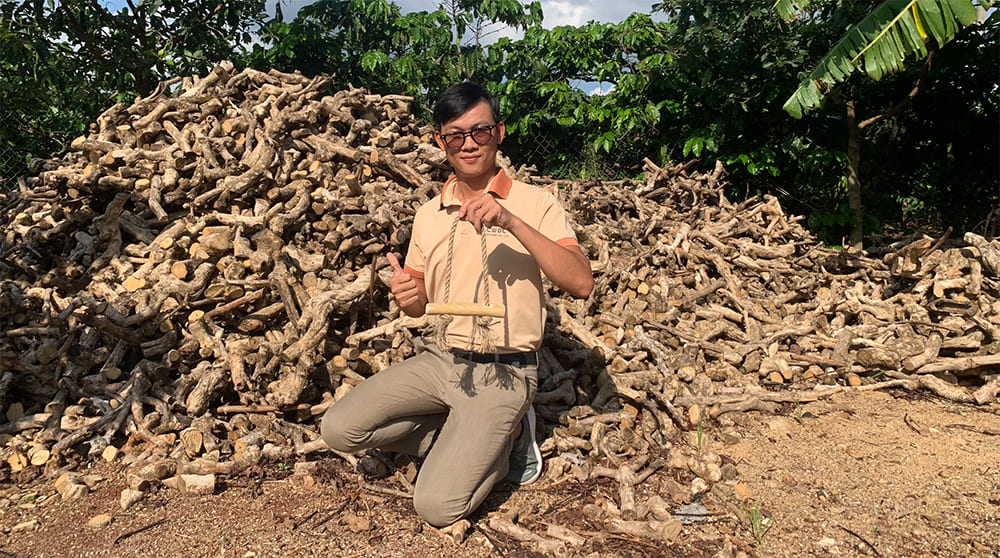 왜-CWDC-베트남은-커피-목재-씹는-장난감-생산과-수출에만-집중하는지-선택하는지요