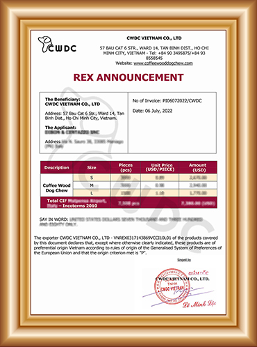 Rex 발표 CWDC 베트남