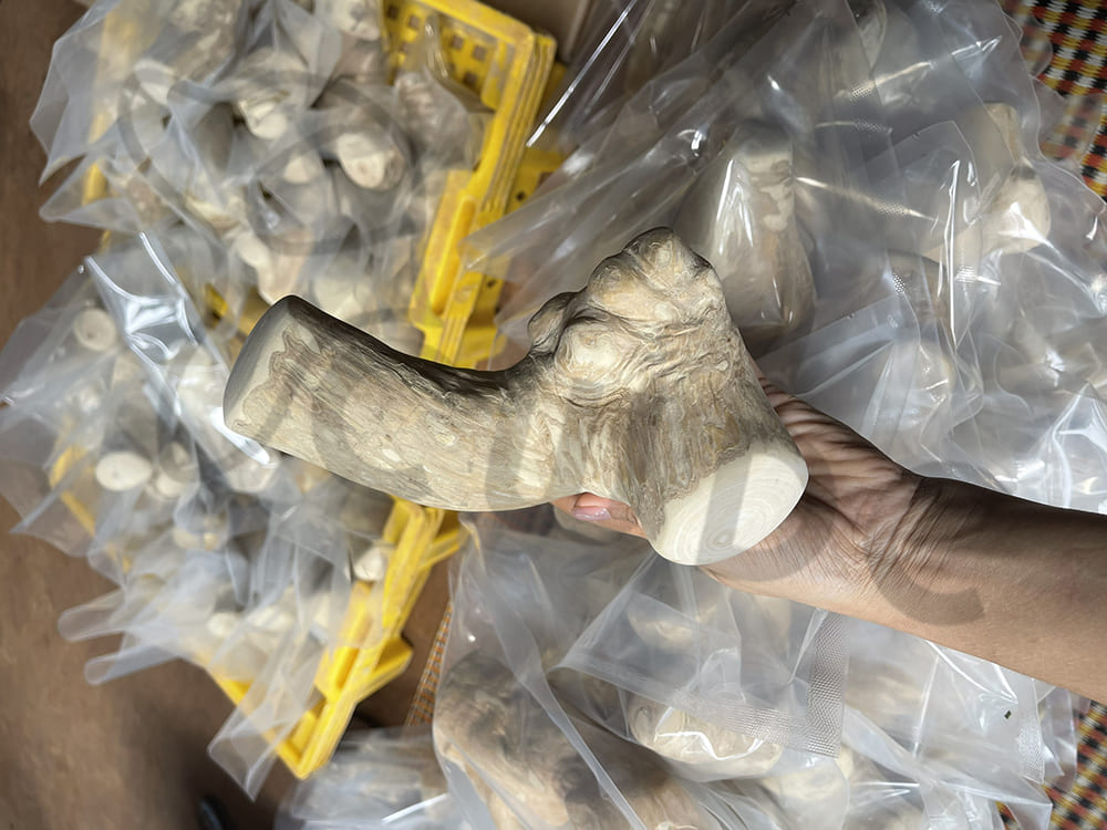 고릴라 우드 츄 대 커피 우드 츄 차이점은 무엇인가요