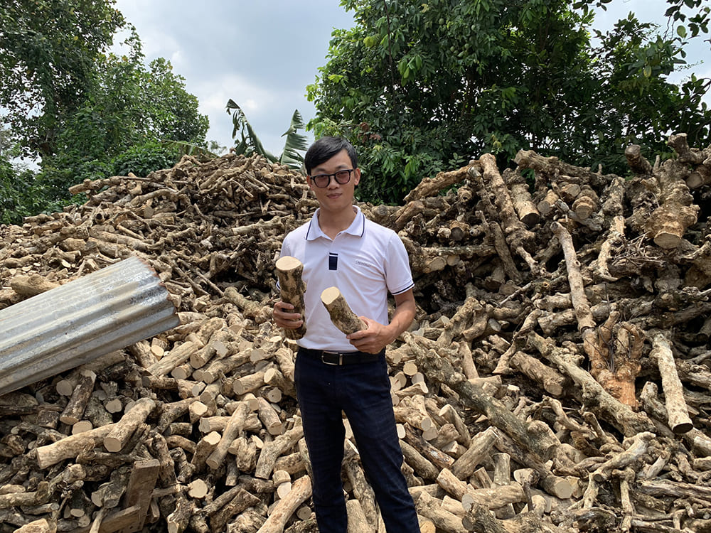 CWDC 커피 우드 꼬리질 손으로 만든 예술적인 장난감, 사랑하는 반려동물을 위한 것