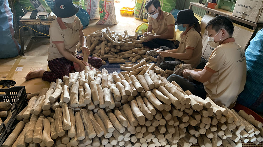 정보에 근거한 결정을 내리기 CWDC VietNam이 판매자 이상인 이유