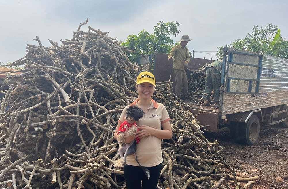 잠재력 활용 오래된 커피 나무를 커피 나무 체우 장난감으로 재활용하기