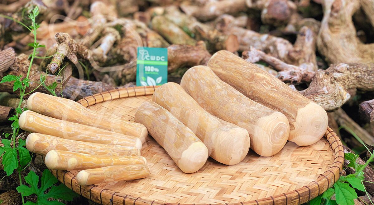 CWDC VietNam의 커피 나무 개 씹는 장난감이 다른 것과 어떻게 다른가 분석적 통찰