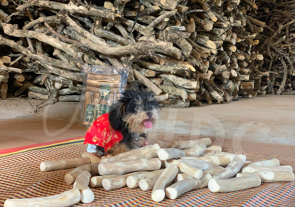 강아지용 씹는 재료 비교 깊이 있는 분석