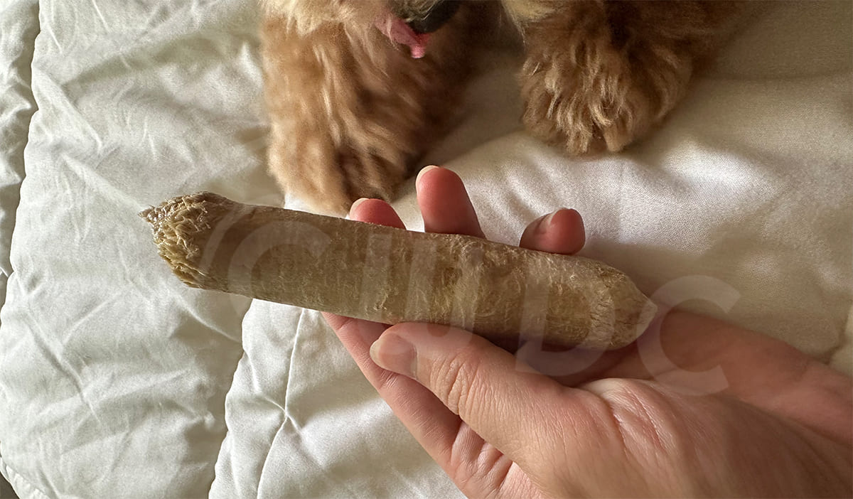 커피 나무 씹는 장난감은 부스러기 나가는가 깊이 있는 분석