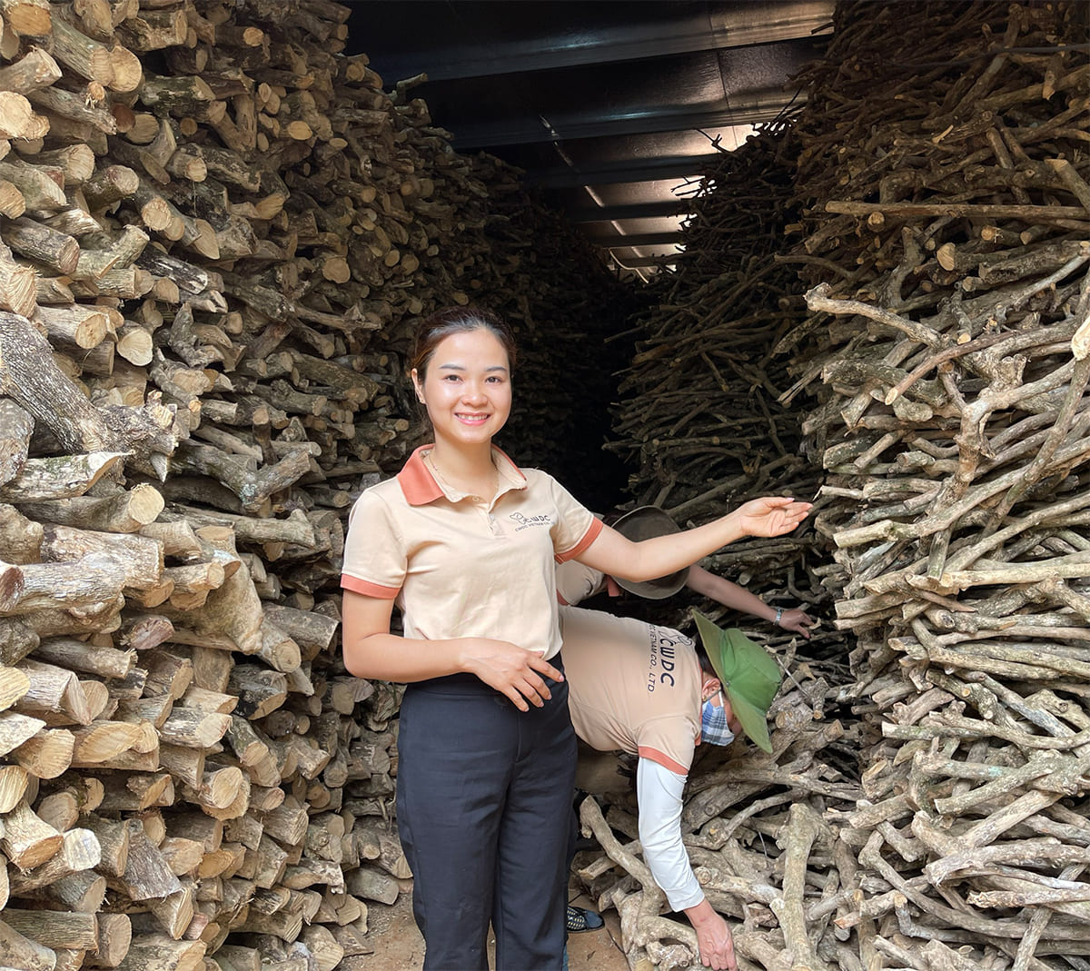 개 씹기 장난감 비교 커피 목재가 올리브 목재와 브라이어 뿌리에 비해 두드러지는 이유