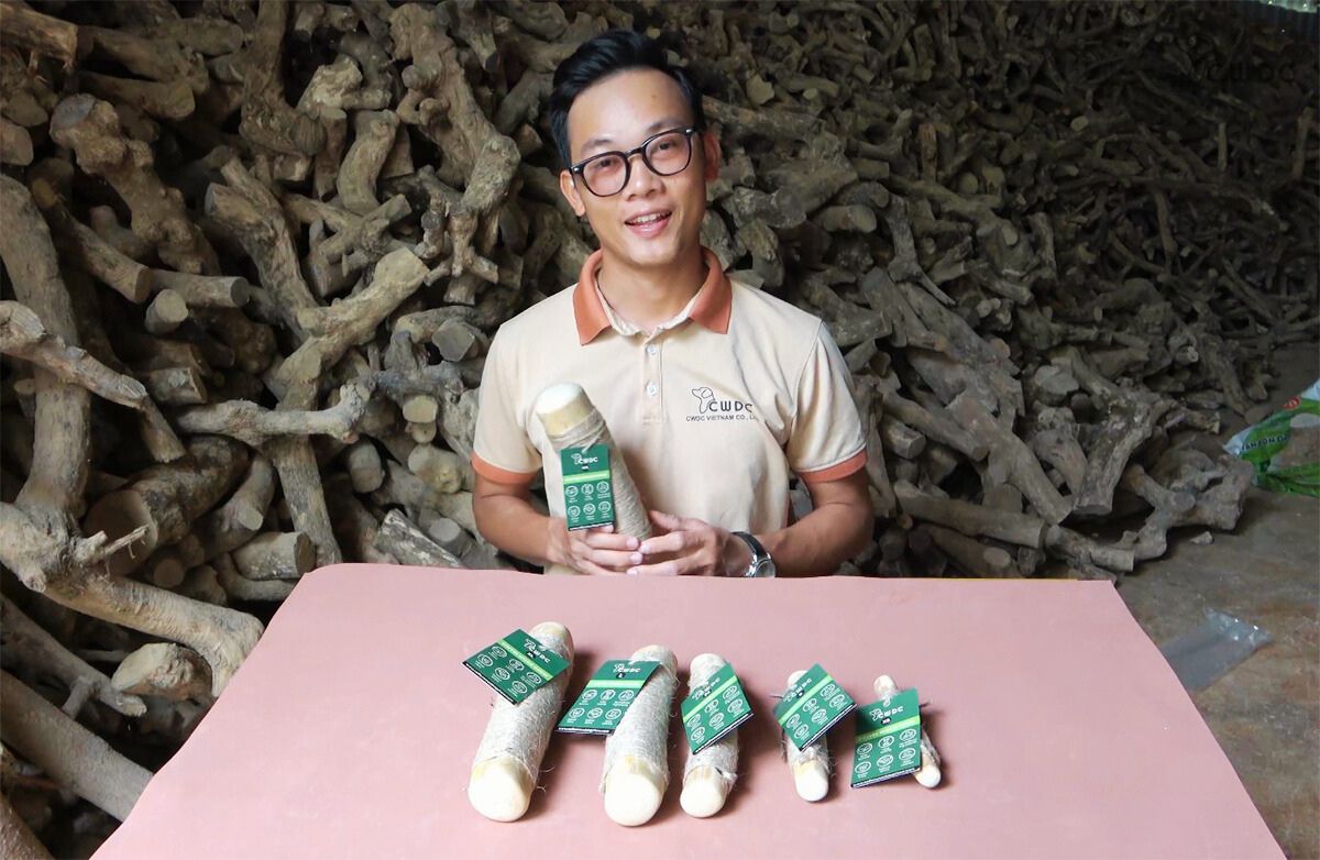 개 주인에게 커피나무 씹는 장난감이 필수인 이유는 무엇일까요