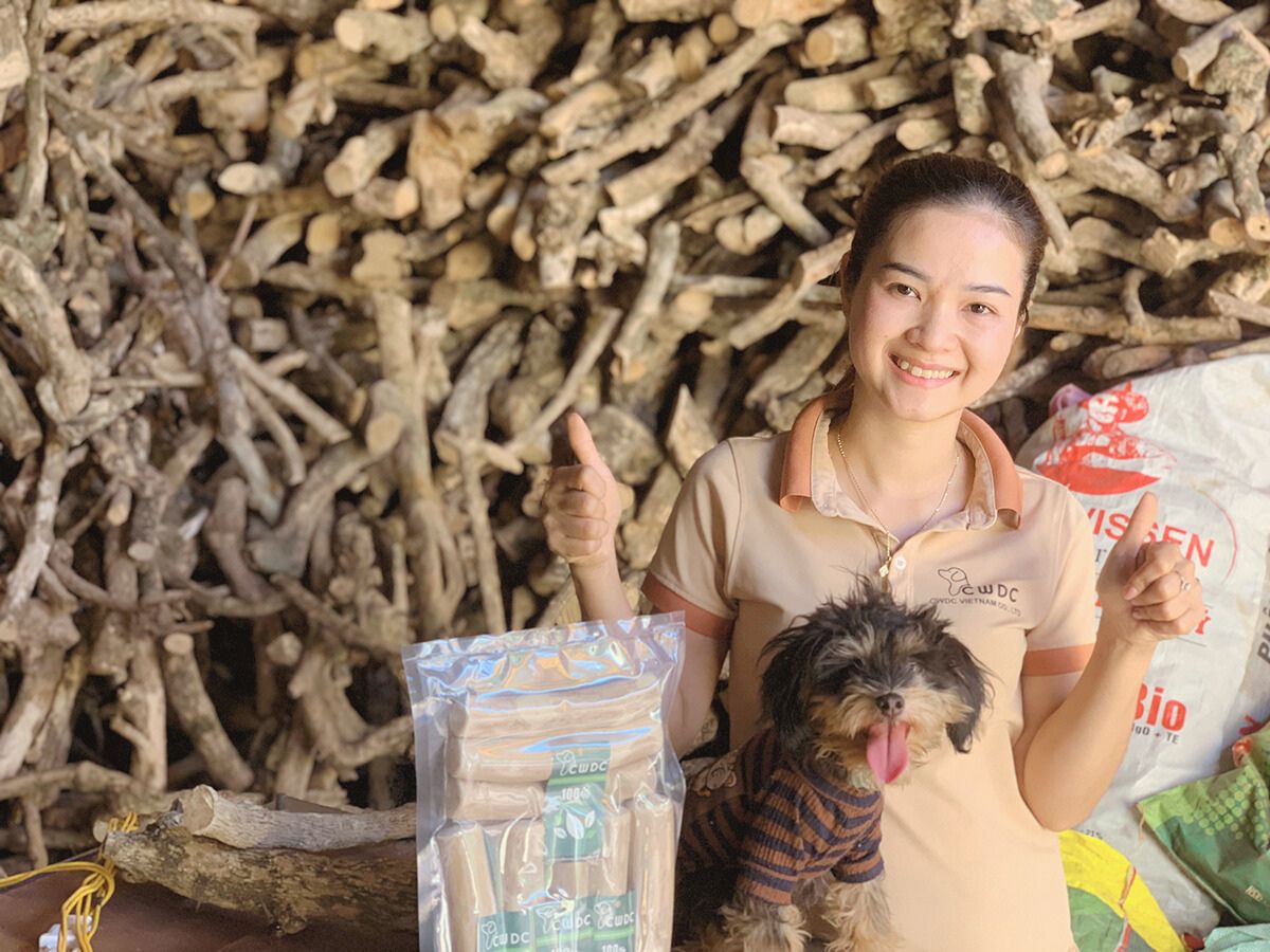 당신의 개에게 커피 나무 씹는 것을 제공하기에 적절한 시기는 언제인가요 깊게 알아보기