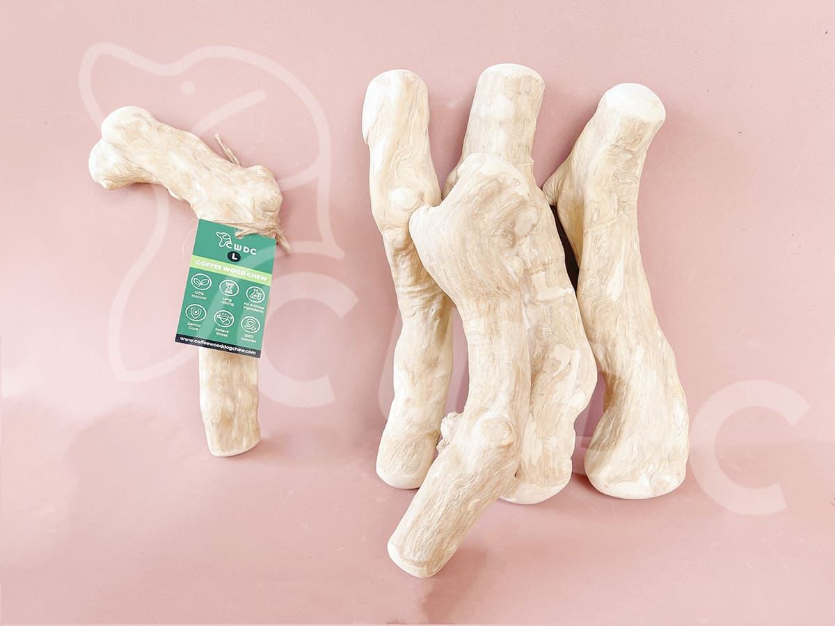 당신의 개에게 커피나무 씹는 장난감은 유익한가