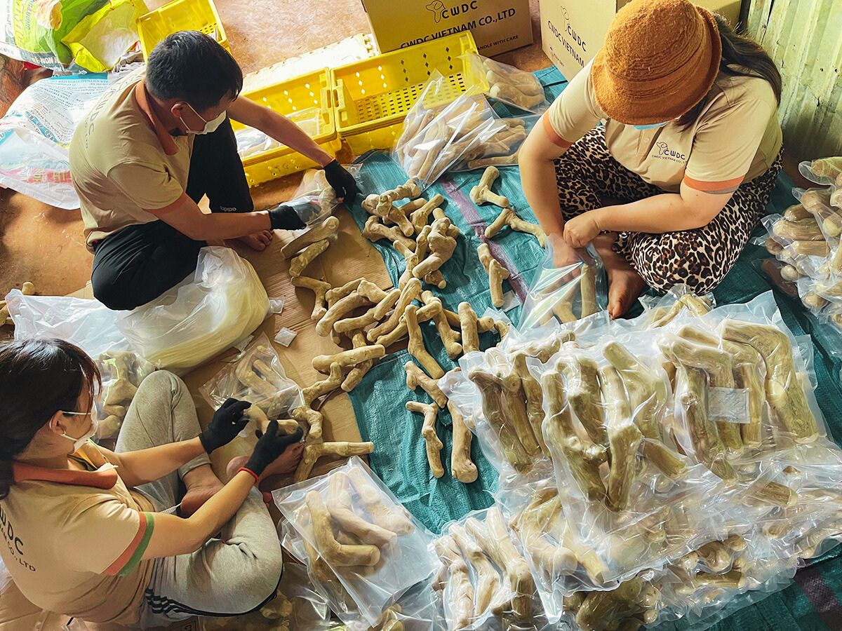 커피 나무 씹는 장난감 이해하기 피드백과 자주 묻는 질문