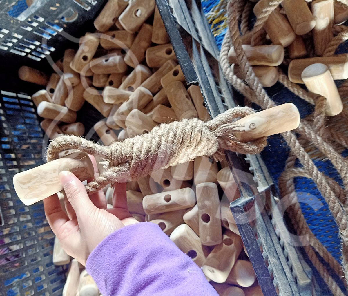 CWDC 베트남의 커피 나무 개 츄우 평가 강아지 시각