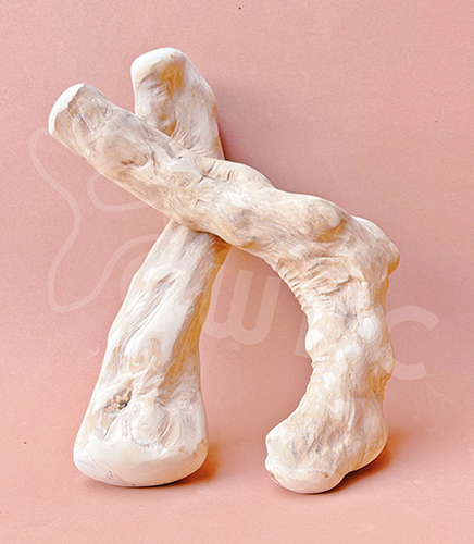 cwdc 커피 나무 씹는 크기 L 이미지 엄지