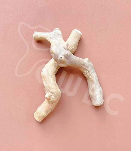 cwdc 커피 나무 씹는 크기 S 이미지 엄지