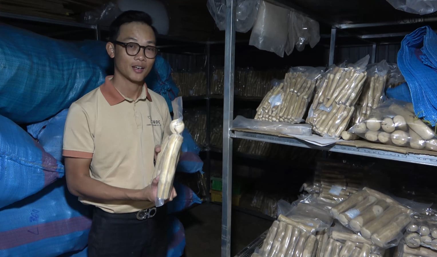 베트남 풍성한 커피 수확 지속 가능한 커피 나무 개 츄우 장난감에 대한 선물