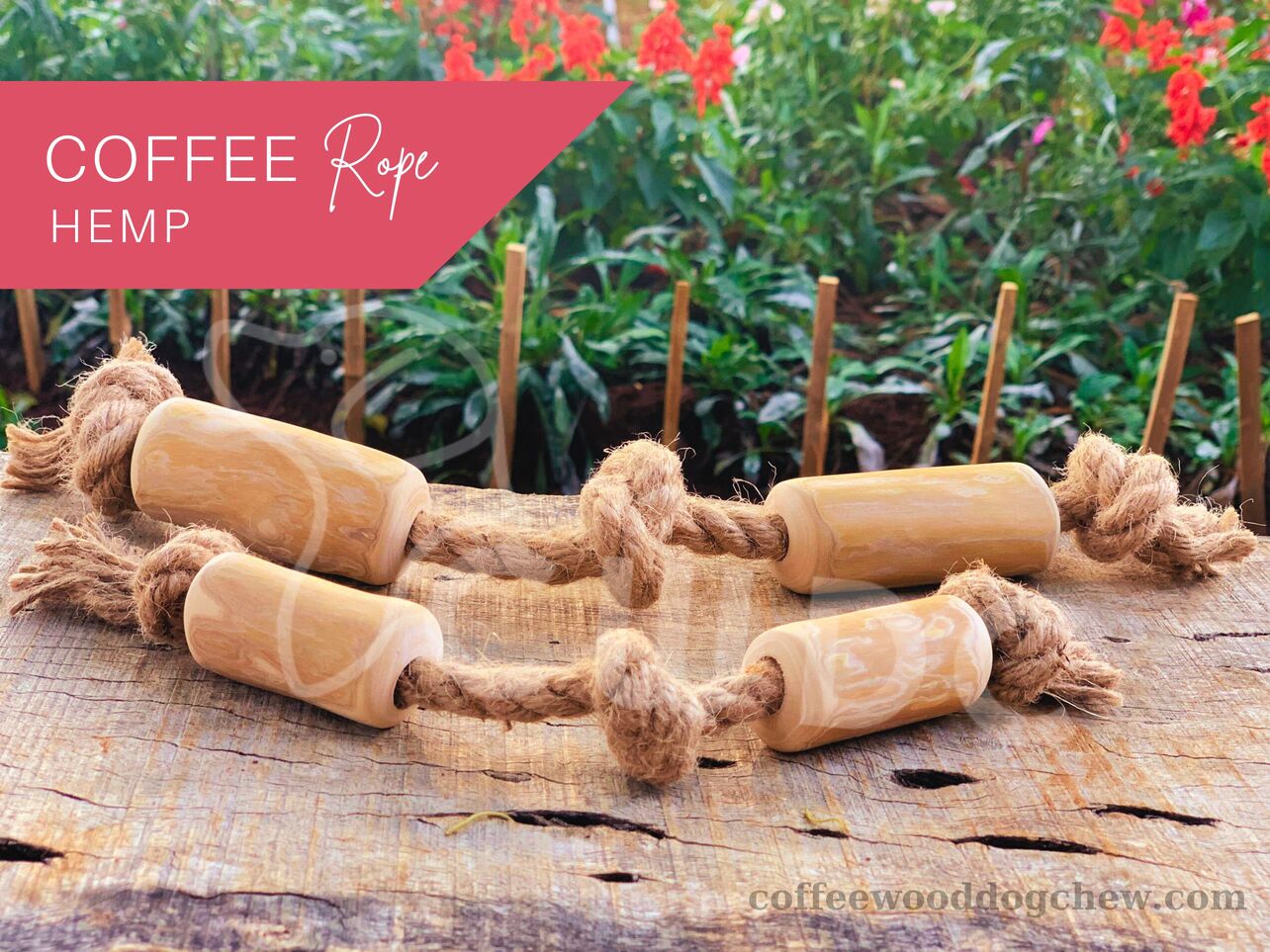 커피 나무 강아지 츄 - 강아지 복지를 위한 신뢰할 수 있는 동반자