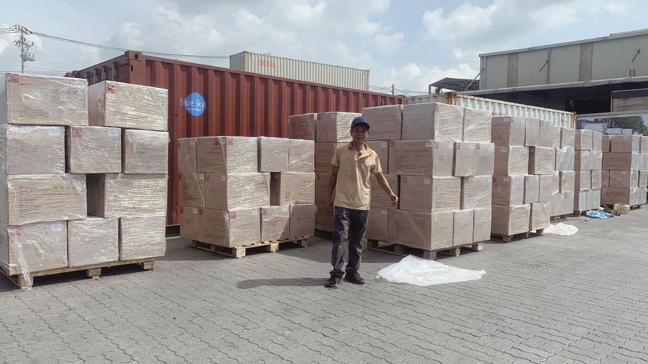 우리 커피 나무 껌 장난감의 가장 큰 비밀을 밝히며