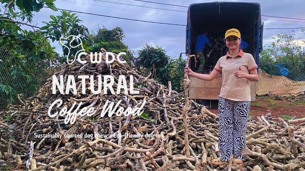 베스트셀러 커피나무 강아지 간식 씹는 막대 장난감