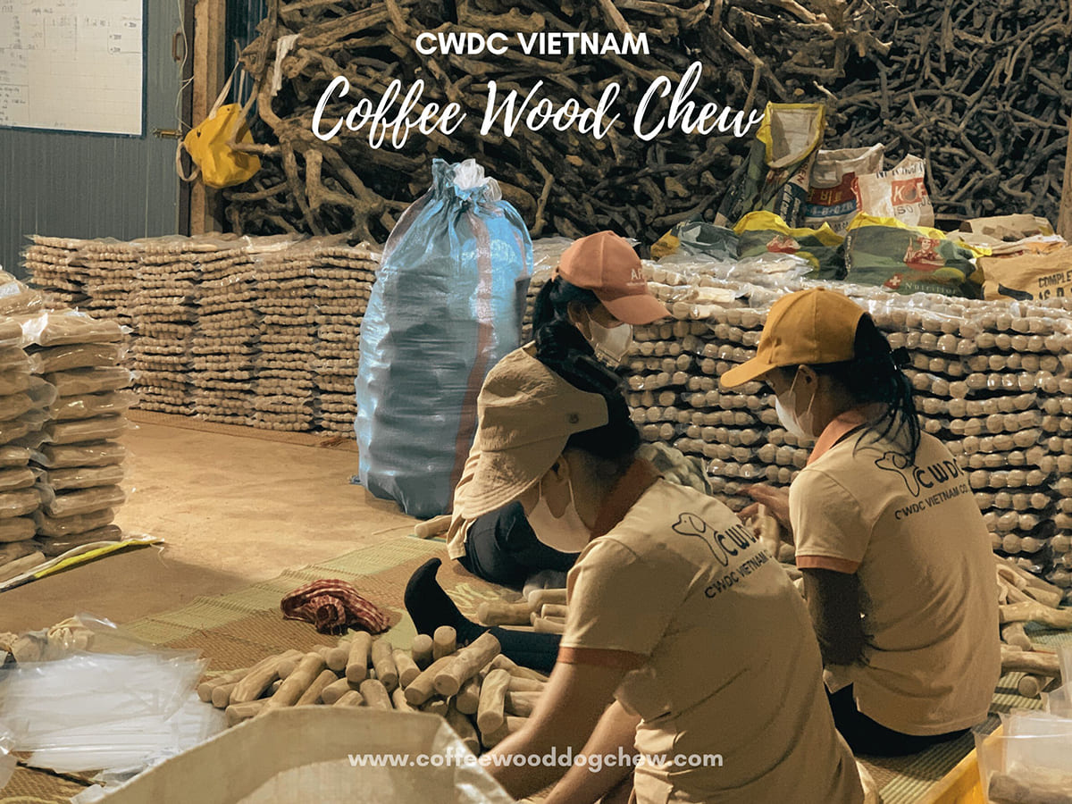 강아지를 위한 자연 장난감 커피나무 스틱의 우수성 해석