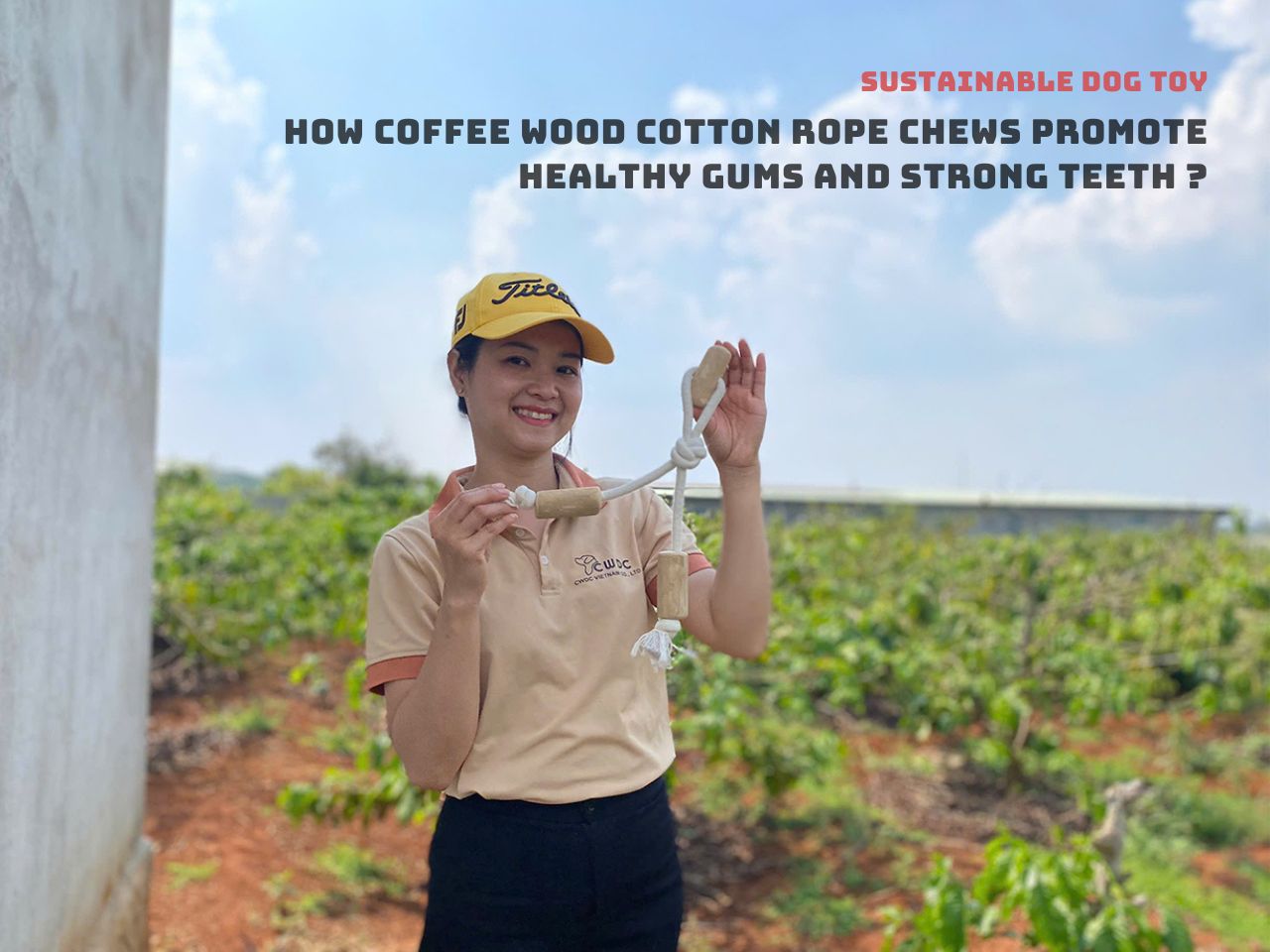 CWDC VietNam이 선보이는 특별한 제품 라인 – 커피나무 로프 장난감