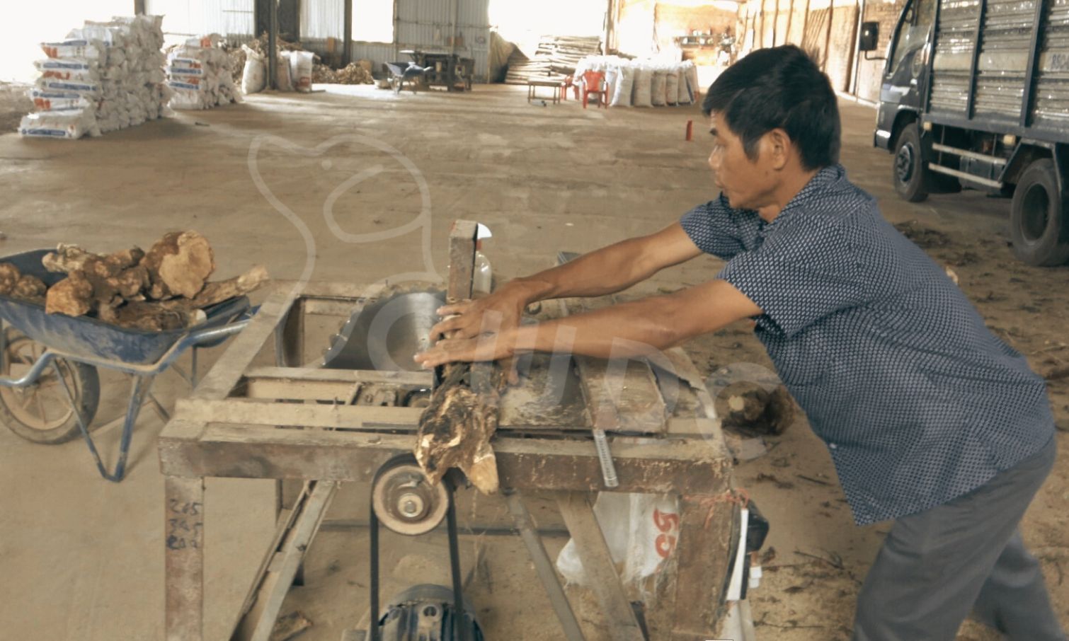 CWDC Vietnam의 커피나무 씹는 장난감에 담긴 Tuan Nguyen 씨의 유산