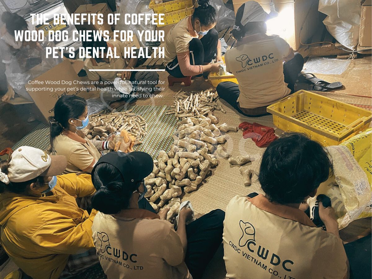 발견하세요 반려견을 위한 커피나무 씹는 장난감을 시도해야 하는 6가지 이유